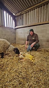 51K views · 339 reactions | Book online and save  Ewe's Promocode 'RETURN10' and receive discount on your tickets. Celebrate newlife arriving here on the farm. We hope to see you all soon #jobsagoodn  | Windmill Animal farm | Facebook