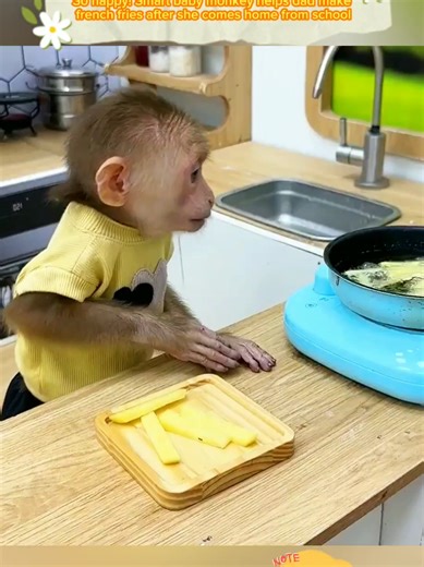 Smart Baby Monkey Helps Dad Make French Fries