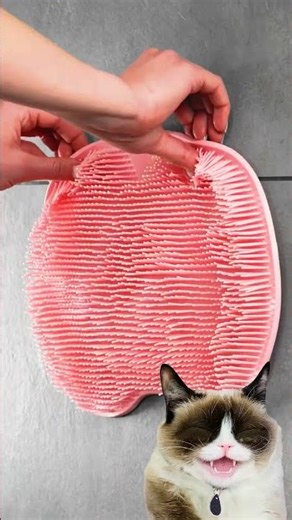 Tried the Internet’s Strangest Cleaning Gadget! 🧽