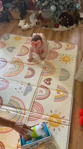 We have a crawler ❤️ | Debbie Baker