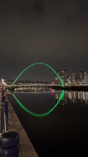 Swan on the tyne 🦢 #tyne #rivertyne #tynebridge #newcastle #newcastleupontyne