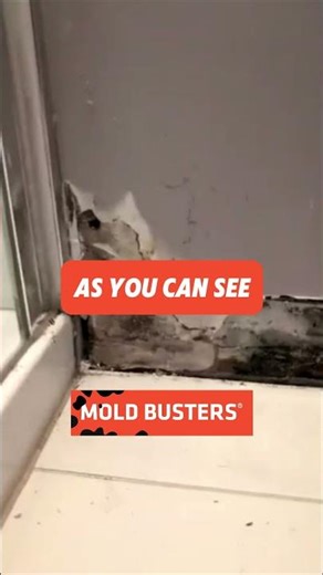 Bathroom Mold FREE Virtual Inspection - Mold Busters