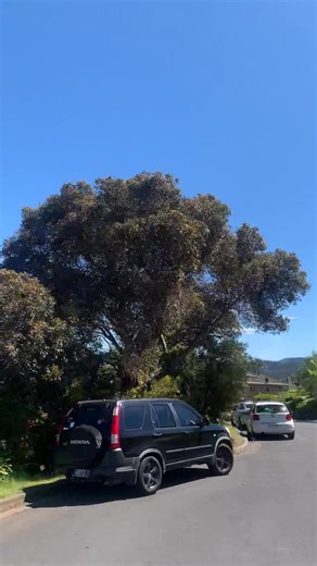 Paul Dobson on Reels