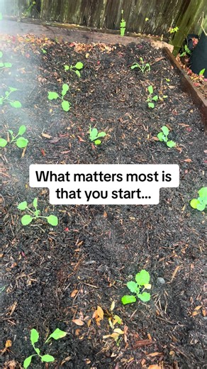 Start small. Start unsure. Start scared. Start. #gardeningforbeginners
