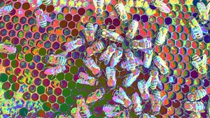 Developers Upload Script of Jerry Seinfeld’s ‘Bee Movie’ on Ethereum as Gas Fees Plunge After Dencun