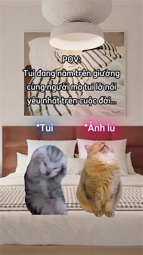 Những Khoảnh Khắc Dễ Thương Trong Tình Yêu