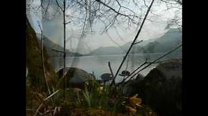 I Wandered Lonely As A Cloud Chords (W. Wordsworth) performed by Pete Lashley - ChordU