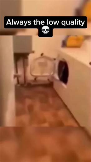 what are you doing step-ladder #fyp #lowquality #meme #lowqualitymeme