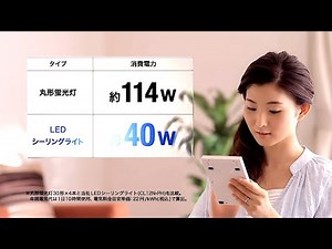 宮澤千夏 : エコハイルクス (201305)
