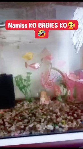 Meet my two mermaid Babies 🥰🥰😍 Freen and Becky🥰🥰 | Planet of the Bi's