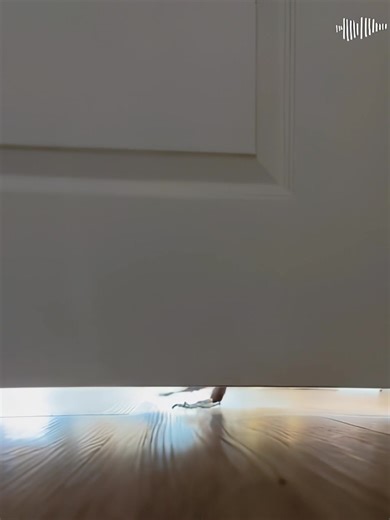 Funny Prank Video with Chester