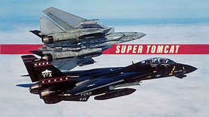 Why the Navy retired the Tomcat too soon