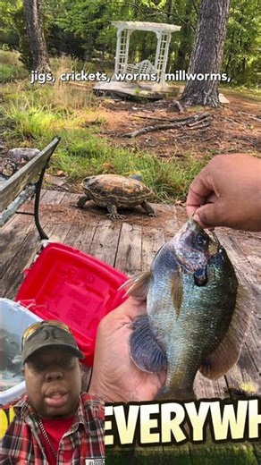What method do you use to catch your panfish?