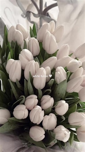 White Tulips Aesthetic: Bouquets, Flowers, and More