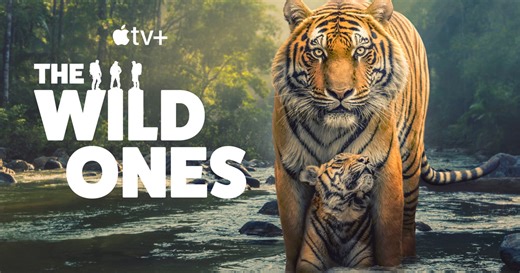 Apple TV  debuts the trailer for new documentary series “The Wild Ones”