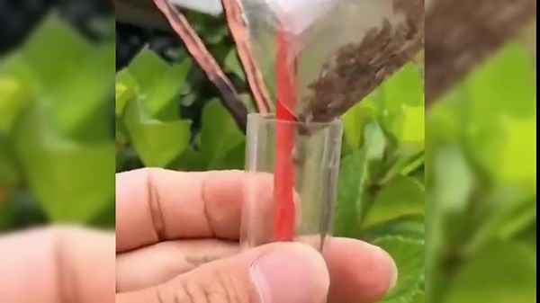 AIIONP 6 PCS Mini Seed Spreader, 2025 Upgrade Mini Sowing Seed Dispenser, Small Seed Planter Tool, Manual Seedlings Dibber and Widger Set, Seed Sower Spreader Handheld for Tiny Seeds (Set D)