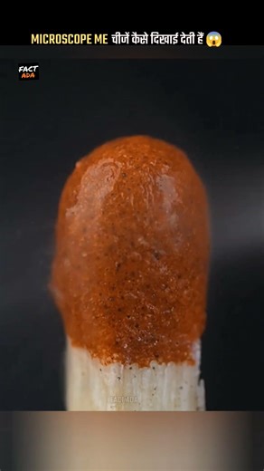NORMAL चीजों MICROSCOPE ME कैसे दिखती हैं 😱#shorts #facts #factshorts