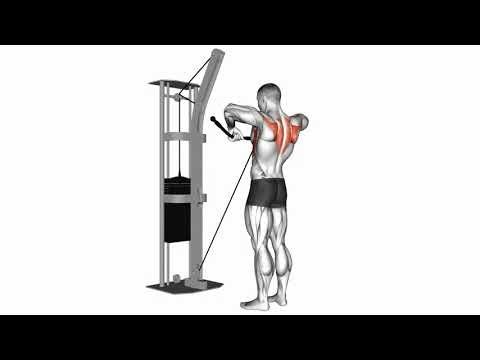 Cable Upright Row： A Comprehensive Exercise Guide 02461201 Cable Upright Row shoulder