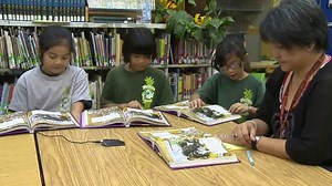 Understanding Text Complexity