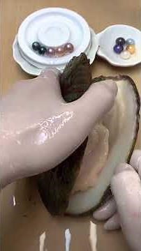 I Opened a Giant Oyster… I Wasn’t Ready for This