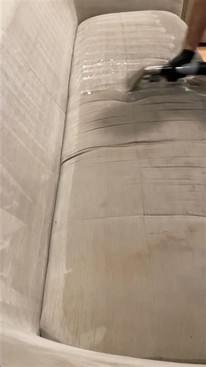 Cats Used It Daily… Look at It Now | Sofa Deep Cleaning 📍 Dallas – Fort Worth