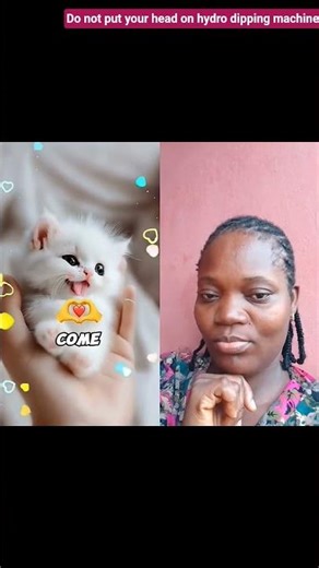 Do not put your head in a hydro dipping machine⚠️. #shorts #viral #animallovers #cutecat #cat #remix