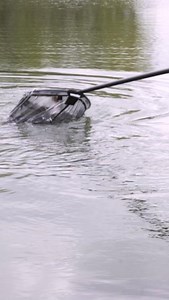 LIVE MATCH VIDEO - THURSDAY 5PM! 🎬 We've got a cracker of a LIVE MATCH going live on Thursday at 5pm.🥳 Make sure you're subscribed to the Matrix Fishing YouTube channel so you don't miss it! 🤩😍 | Fish Matrix