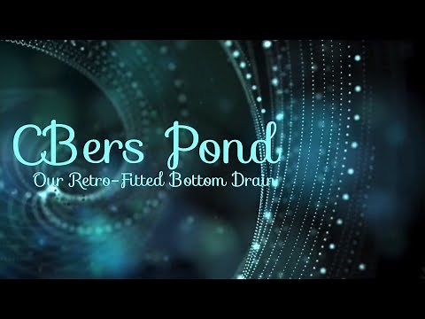 Our Retro-Fitted Bottom Drain (Koi Pond)