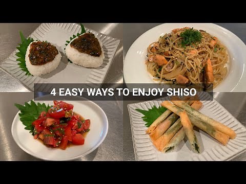 4 Easy Ways To Enjoy Shiso (Japanese Basil) Recipes