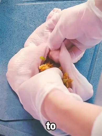 Top Stranger Things Moments of the Past Decade