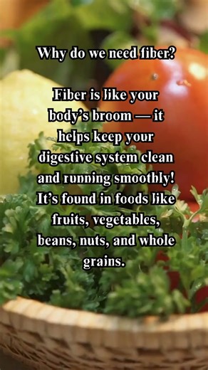 Why Do We Need Fiber Short #lolosap #fiber #easynutrition #shorts