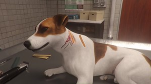 14K views · 259 reactions | Animal Shelter Simulator by @GamesIncubator Add to #Steam wishlist: https://store.steampowered.com/app/1239320 Save our four-legged friends! Animal Shelter Simulator grants you the opportunity to tackle the challenging but also highly rewarding task of running a refuge for strays and rescues. | PlayWay | Facebook