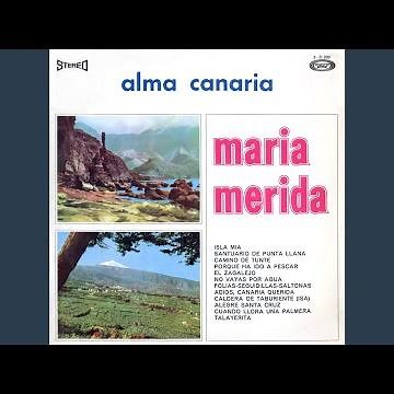 Isla mía (con Los Costeros)