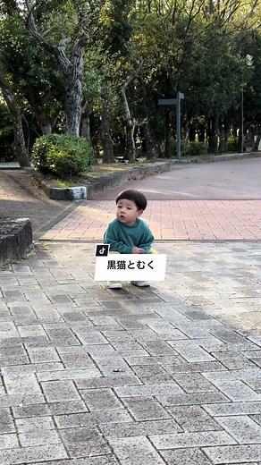 2歳10ヶ月の男の子の日常とカラスの鳴き声