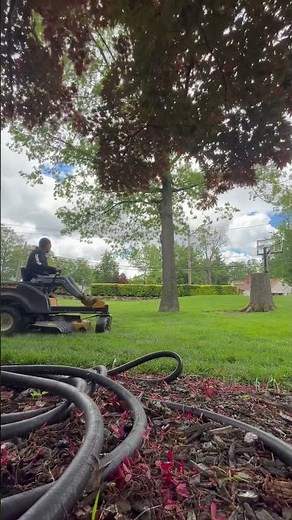 Checking out the cub cadet zero turn