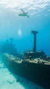 Thalassophobia POV: Terrifying Sunken Train Wreck.