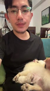 9K views · 273 reactions | 3AM CHALLENGE . PADEDE MOMS #luna #pomeranian | Jaysteel Dacudao | Facebook