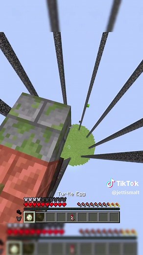 Minecraft Turtle Egg Discovery Guide