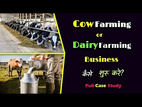 How to Start Cow Farming or Dairy Farming With Full Case Study? – [Hindi] – Quick Support