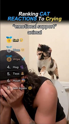 Ranking CAT REACTIONS To THEIR OWNER CRYING!! 😿🥰