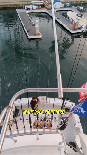 Docking the boat again at War Heroes on Water 2023! Join “Your Saltwater Guide” today with 400 howto videos showing and teaching you the ways of Saltwater Fishing including an active fishing community posting fish reports for Southern California every day on my mobile app! Join in on the action! Your Saltwater Guide App Available Now on the App Store & Google Play Store! Your Saltwater Guide is Sponsored by Okuma Fishing USA. #docking #dock #fishingboat #boating #fishinglife #fishingdaily #fishi