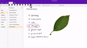 在 Windows 10 版 OneNote 中插入線上視訊