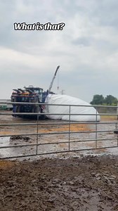 The earliest maize harvest we’ve ever had at South Devon Dairy! | South Devon Dairy