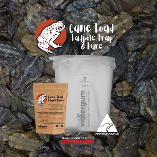 365 reactions · 52 shares |  Cane Toad Season is Coming – Are You...