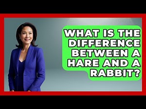 What Is The Difference Between A Hare And A Rabbit? - Exploring The Benelux