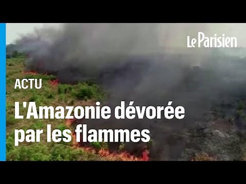 La forêt amazonienne subit ses pires incendies en août depuis 2010