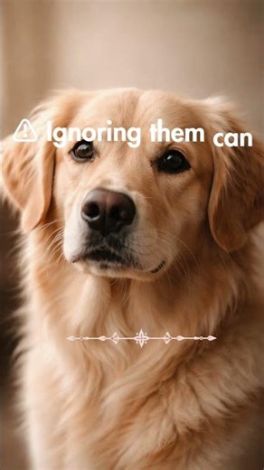 This One Behavior Shows Your Dog Is Stressed