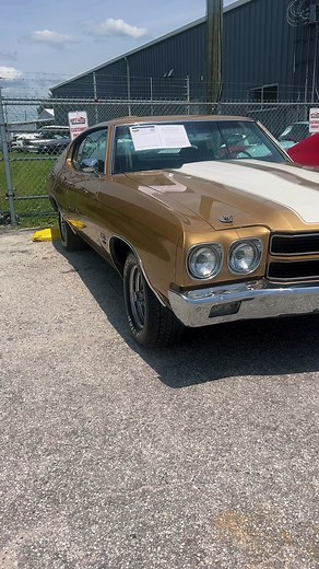 A few of our 70 Chevelles are out to play! For information on these or any of our Classics head over to www.PastandPresentMotorCars.com _________________________ Past & Present Motor Cars Your Dream. Our Passion. Sales | Consignment | Shipping | Financing ✅Visit our website for more Photos/Pricing 🌎We Ship Worldwide. Questions?? Call or text us anytime. 407-559-7759 - Facetime Available. Visit our Showroom! Mon-Fri: 10am-6pm Sat-Sun: by appointment 📍320 Story Rd Ocoee, FL 34761 _______________