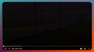 Unleash the power of #AI everywhere. Geti, Intel’s new software platform for building computer vision models in a fraction of the time and with less data. Learn more at ISC West 2024 by visiting the Intel Partner Booth located at Titian 2201B, in the Venetian Expo in Las Vegas, Nevada from April 9–12, 2024. https://bit.ly/ISCWest2024 #insightdottech #IntelPartner #ad | Kevin Jackson