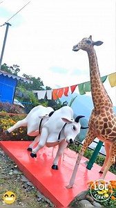 Just for fun 🐄 dancing 😁😁 Made with Google #funny #bull | The LOL Factory